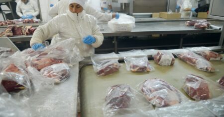 Con China como el principal comprador, hubo un importante repunte en las exportaciones de carne bovina en junio imagen-16