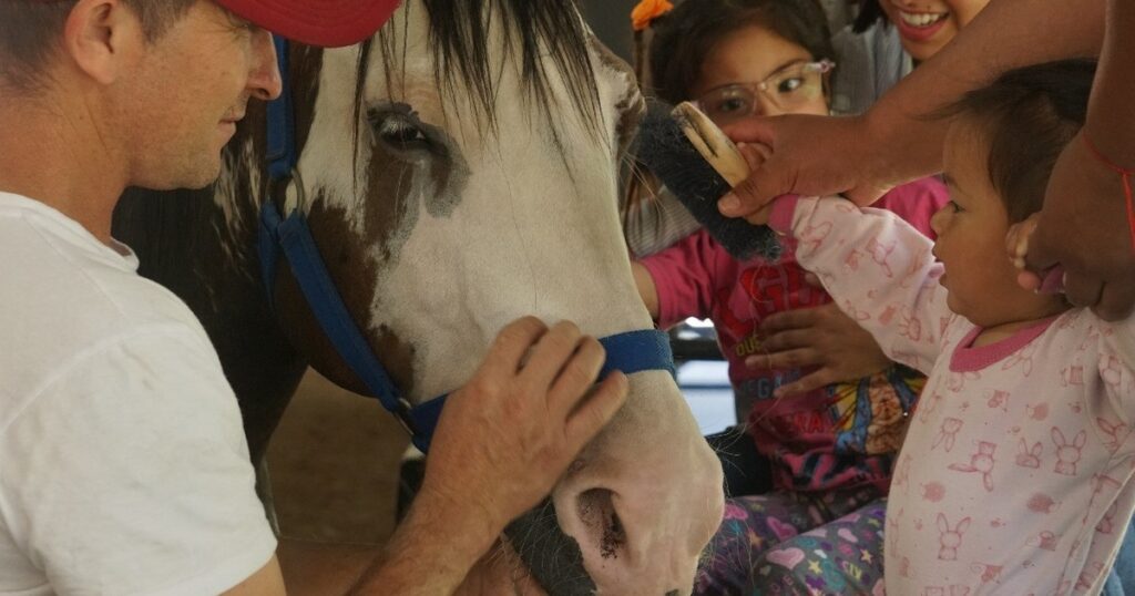 Equinoterapia: los caballos y el emocionante camino de la rehabilitación imagen-99