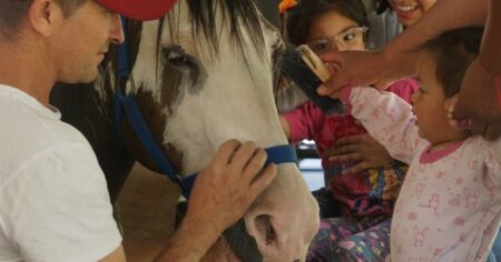 Equinoterapia: los caballos y el emocionante camino de la rehabilitación imagen-9
