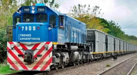 El Gobierno nacional inició el proceso de privatización del Belgrano Cargas imagen-19