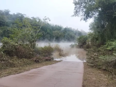 Crecida del río Uruguay: cierran pasos fronterizos y refuerzan operativos de control imagen-6