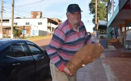 Agricultor cosechó una mandioca gigante e incentiva a los jóvenes a permanecer en las chacras imagen-10