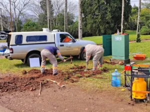 Finalizaron las tareas de modernización del puesto de censos sobre la Ruta 14 en Leandro N. Alem imagen-2