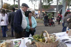 Oberá en Invierno: Naturaleza, Cultura y Beneficios para Disfrutar en Familia imagen-3