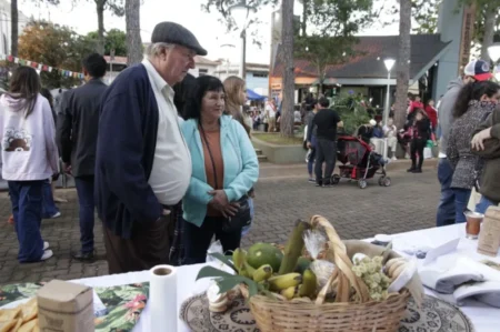Oberá en Invierno: Naturaleza, Cultura y Beneficios para Disfrutar en Familia imagen-7