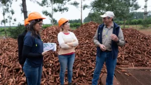 Destacan la Red de Valor Agregado de Misiones para impulsar la innovación alimentaria imagen-2