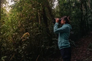 Se viene el encuentro internacional de observación de aves en Iguazú imagen-3