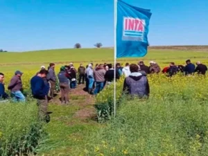 El Inta tuvo vínculos con más de 20 mil productores de Misiones imagen-1
