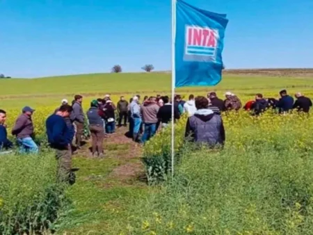 El Inta tuvo vínculos con más de 20 mil productores de Misiones imagen-14