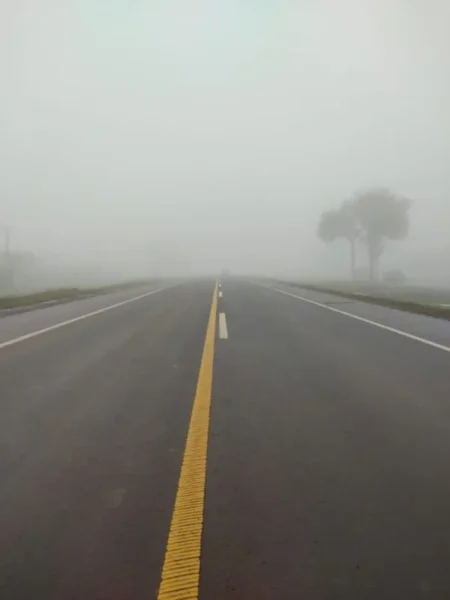 Niebla en la Ruta Nacional 12: recomiendan circular con precaución entre Posadas e Iguazú imagen-11