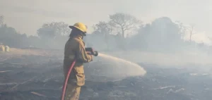 Bomberos evitaron que el fuego llegara a un aserradero y viviendas en Cruce Caballero imagen-1