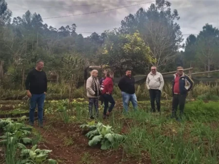 El Alcázar busca alterativas para fortalecer la producción local imagen-21