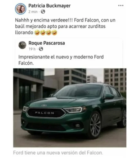 Concejal electa de La Libertad Avanza en Montecarlo posteo una referencia sobre el Falcon Verde y generó repudios imagen-8