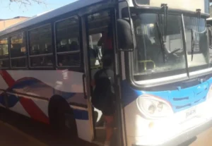 Eldorado busca costear el pasaje urbano de los adultos mayores imagen-2