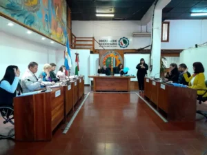 El concejo de Oberá aprobó una bonificación en la Tasa de Comercio a locales adheridos al 'Mejor Oberá' imagen-1