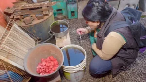 Posadas fortalece la prevención de arbovirosis con apoyo de la Unam imagen-1