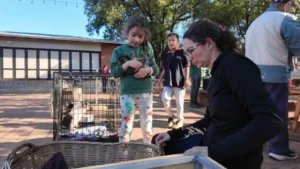 Mascotas consiguieron hogares mediante una jornada de adopción responsable, en Montecarlo imagen-2