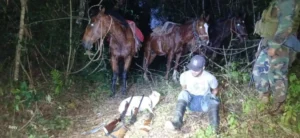 Guardaparques frustran intento de caza furtiva en la Reserva de Biosfera Yabotí imagen-2