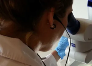 Científicos y comunidad de Iguazú rechazan el cierre del Instituto Nacional de Medicina Tropical imagen-1