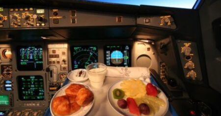 El motivo por el cual el piloto y el copiloto no comen lo mismo durante el vuelo imagen-16