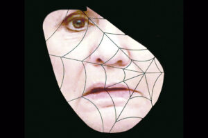 LAS REDES DE LA MUJER ARAÑA imagen-3