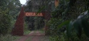 Misiones tendrá un hospital veterinario enfocado en la protección de la fauna silvestre imagen-7