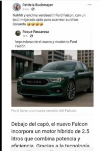 La docente y concejal electa de Montecarlo pidió «disculpas» por declaraciones sobre «Falcon verde para acarrear zurditos llorando» imagen-1