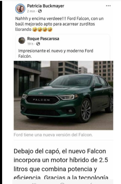 La docente y concejal electa de Montecarlo pidió «disculpas» por declaraciones sobre «Falcon verde para acarrear zurditos llorando» imagen-5