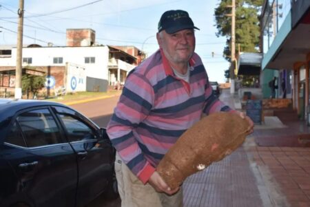 Agricultor cosechó una mandioca de 21 kilos en San Pedro imagen-11