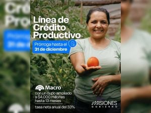 El Gobierno de Misiones anunció la prórroga de dos líneas de crédito claves para el sector productivo de la provincia imagen-6