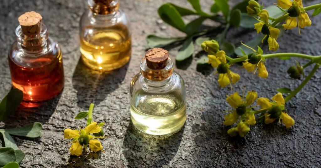 El viernes es el Día de la Pachamama: por qué hacer caña con ruda, para qué sirve el té y otras tradiciones del 1° de agosto imagen-5