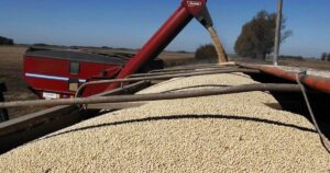 La soja al borde del abismo o del despegue: ¿se viene un rally por el aceite o el derrumbe por la sobreoferta? imagen-3