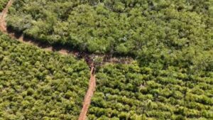 Hallaron restos óseos humanos en Salto Encantado: investigan si pertenecen a Mirta Rodríguez imagen-1