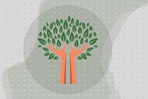 La facultad de Eldorado se suma a la Semana de las Ciencias Forestales impulsada por la REDFOR.ar con un amplio cronograma de actividades imagen-12