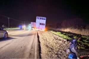 Entre Ríos: viajaba con su hija en una moto, se cayó al piso y murió atropellada por un camión imagen-2