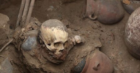 Impresionante hallazgo: realizaban una obra de gas y encontraron una momia de más de 1.000 años de antigüedad imagen-12