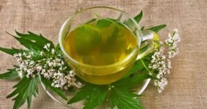 Cómo consumir la valeriana para reducir la ansiedad y dormir mejor por la noche imagen-3