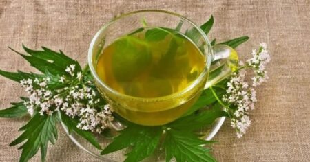 Cómo consumir la valeriana para reducir la ansiedad y dormir mejor por la noche imagen-7