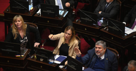 El fallido de una senadora de La Cámpora en plena sesión: confundió el nombre de su bloque y lo llamó “Unión por la Plata” imagen-10