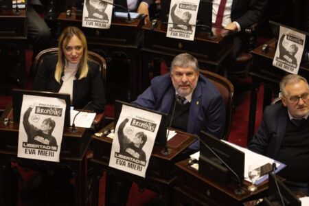Rebelión legislativa: el Senado también desafía al Gobierno y sancionará las emergencias del Garrahan y las universidades imagen-9