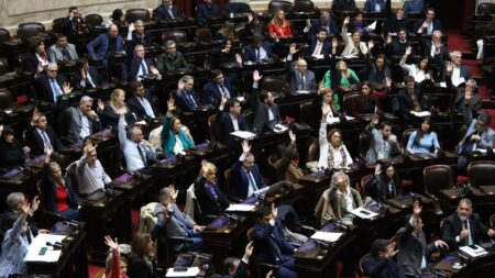 Después del veto de Milei, el Gobierno hace números en Diputados imagen-6