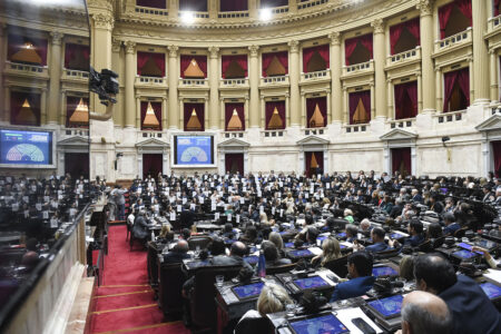 Diputados: Una sesión clave contra la motosierra, pero sin el rechazo a los vetos imagen-5