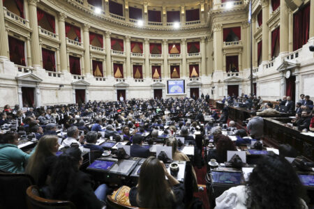 🔴 En vivo. Diputados: otra sesión que incomoda a Milei imagen-8
