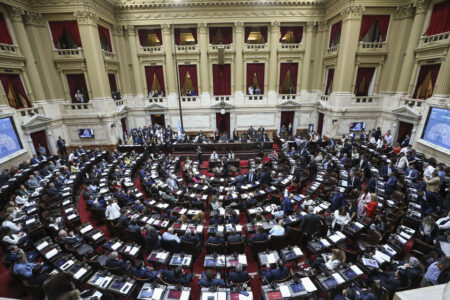 Otra semana compleja para la Casa Rosada en Diputados imagen-7