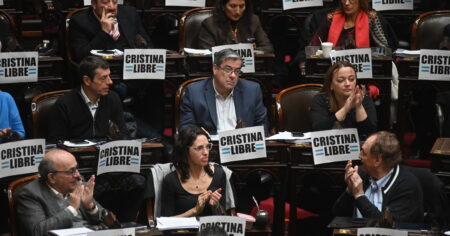 Javier Milei y sus medidas, EN VIVO: el Gobierno enfrenta otra sesión caliente en el Congreso, con el Garrahan y las universidades en el temario imagen-14