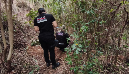 Hallan restos humanos calcinados en una zona rural de Bernardo de Irigoyen imagen-7
