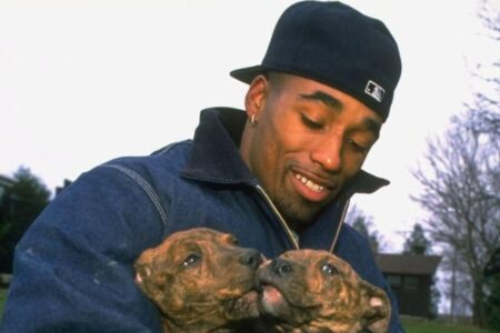 Un exjugador de la NFL enfrenta la justicia y más de 190 perros ahora están a salvo tras su condena imagen-12