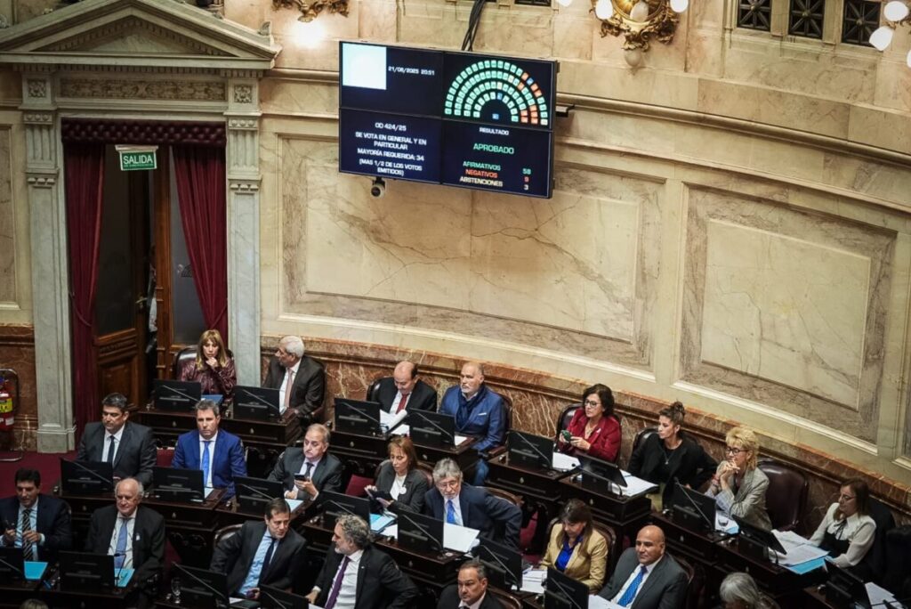 Golpe al Gobierno: la oposición unió filas en el Senado y apuró un dictamen para limitar el uso de los DNU imagen-5