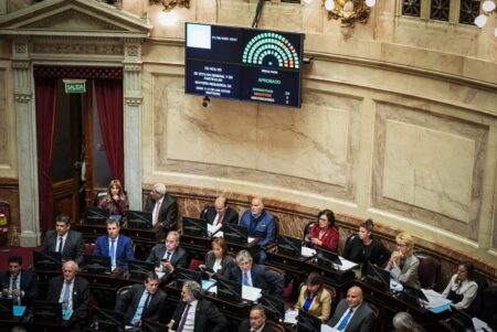 Golpe al Gobierno: la oposición unió filas en el Senado y apuró un dictamen para limitar el uso de los DNU imagen-13