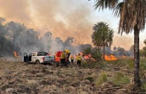 Formosa | Lograron extinguir un incendio intencional que arrasó con más de 4.000 hectáreas en el Parque Nacional Río Pilcomayo imagen-8